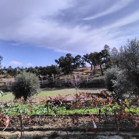 Monte Familia Ferreira Hotel Vale de Acor Luaran gambar