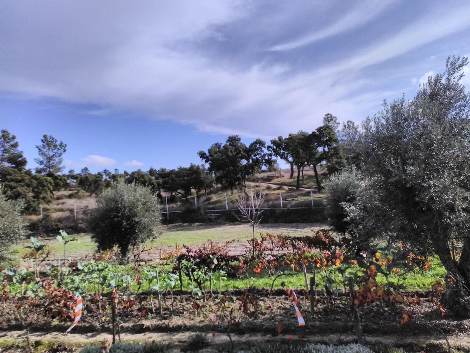 Monte Familia Ferreira Hotel Vale de Acor Luaran gambar